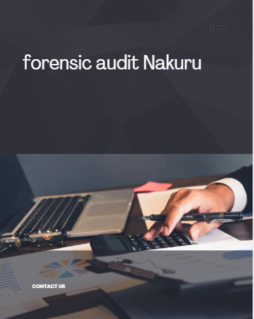 forensic audit Nakuru
