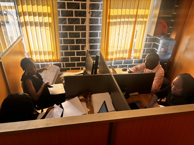 audit firms
